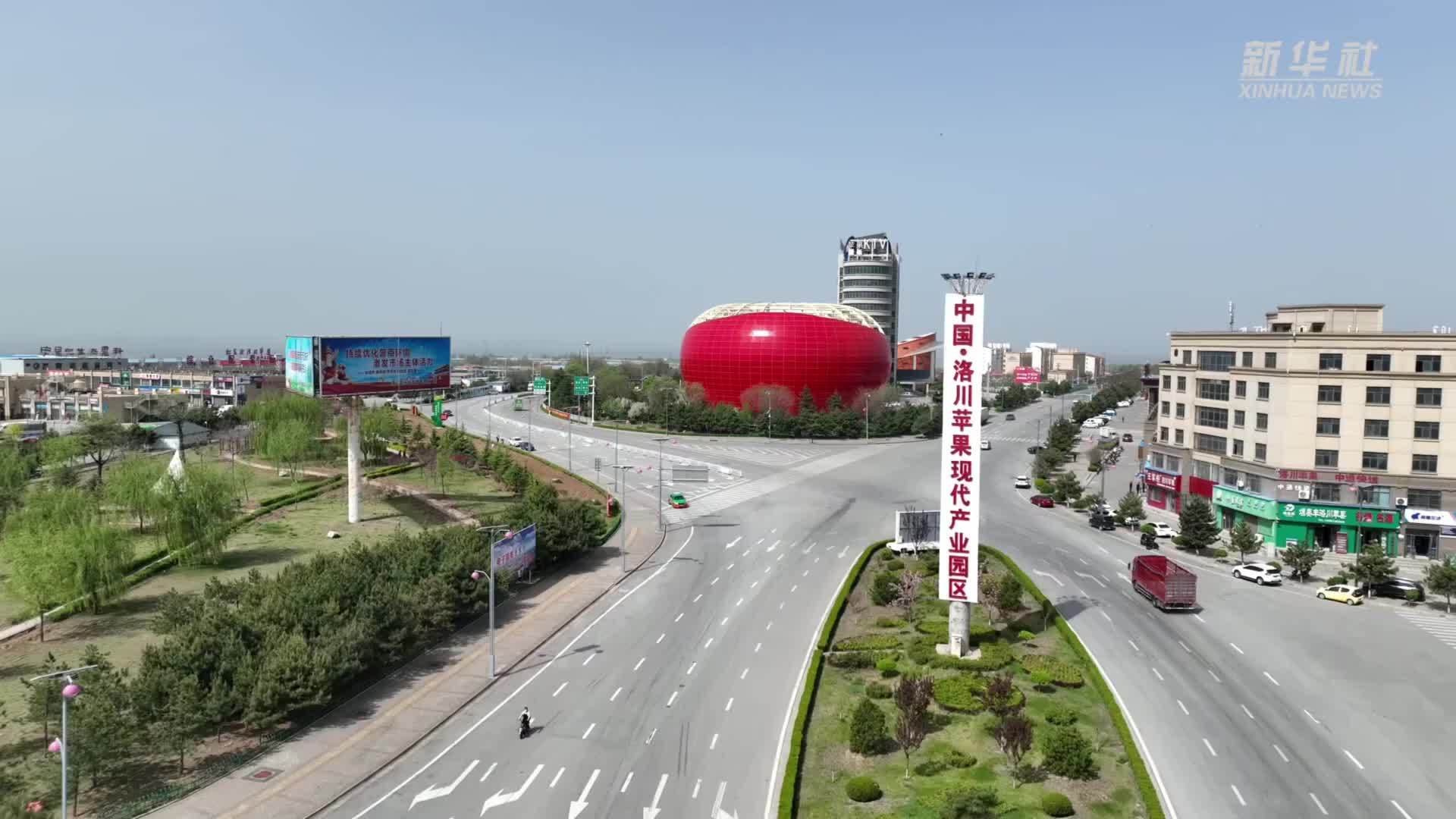 陕西洛川：早熟苹果迎丰收