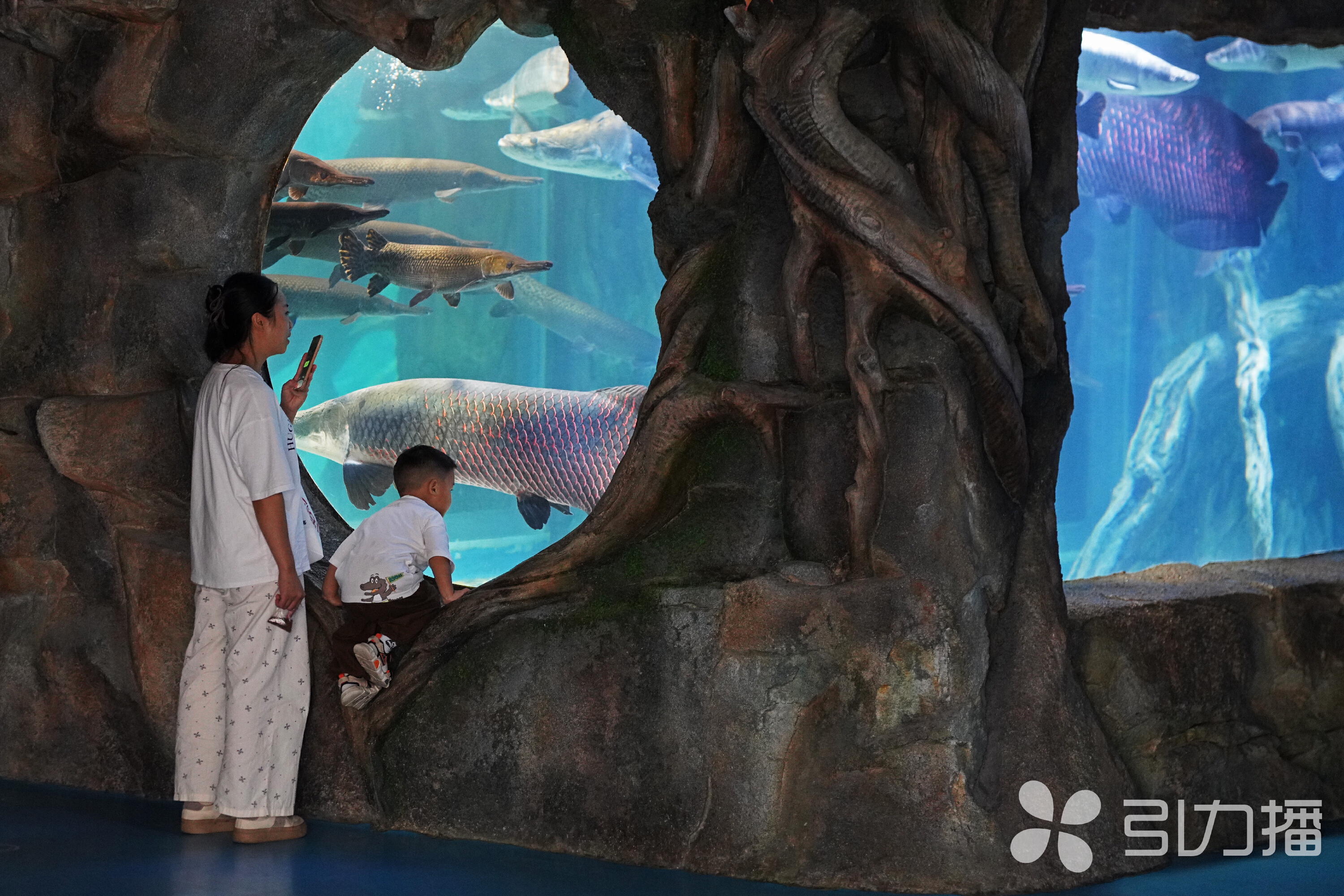 海底世界。苏报融媒记者 李渊/摄