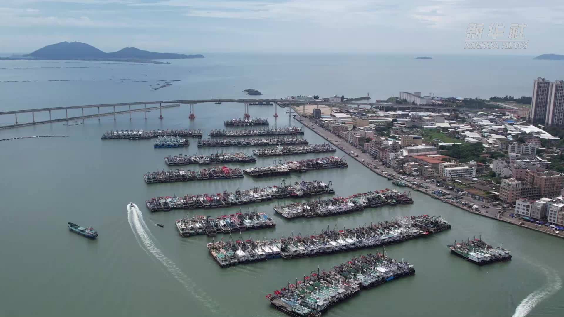迎战台风“桦加沙”广东茂名千余渔船回港避风