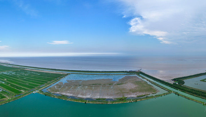 东台条子泥湿地“720”高潮位栖息地（2025年8月25日摄，无人机照片）。新华社记者 季春鹏摄