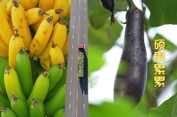 2025丰收中国大型媒体助农活动启幕