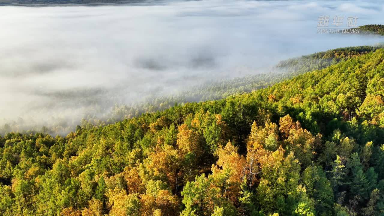 瞰中国｜内蒙古：阿尔山秋色美成童话