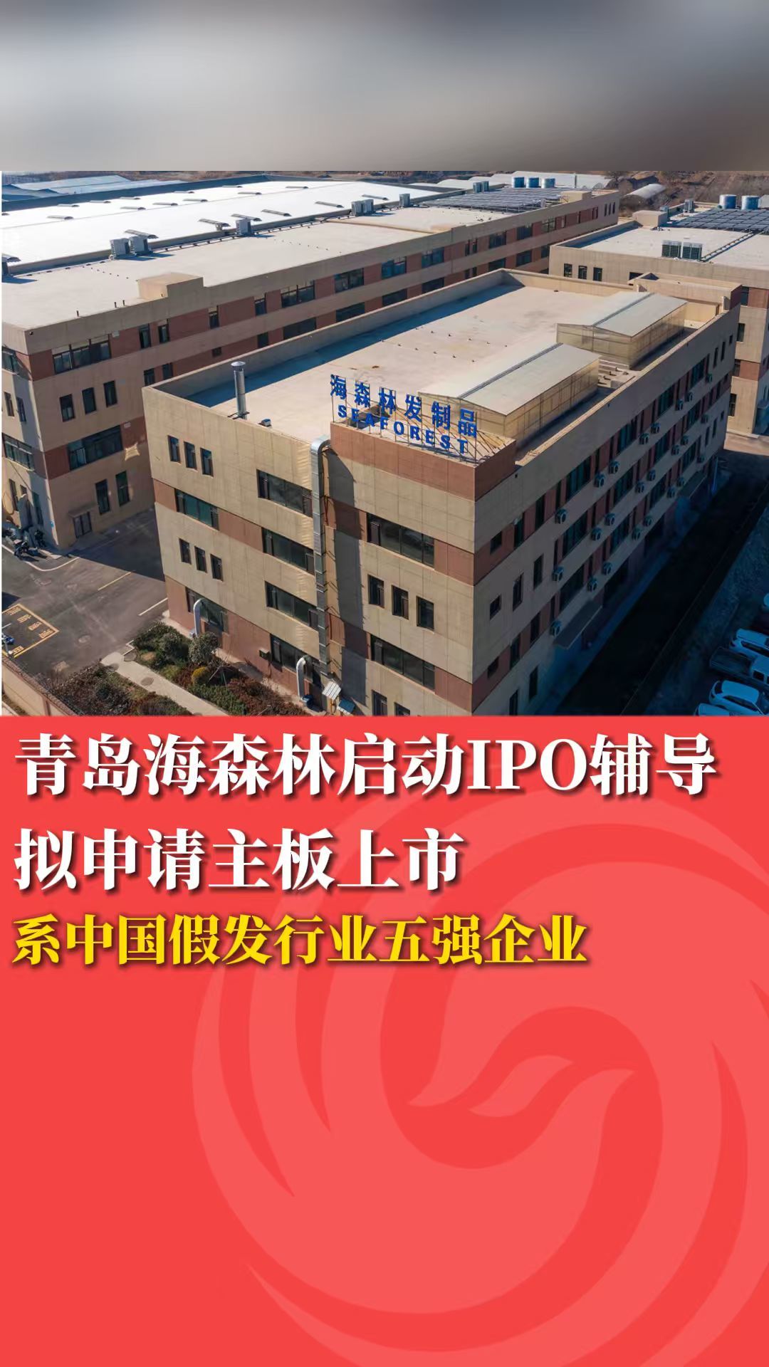 青岛海森林启动IPO辅导 拟申请主板上市