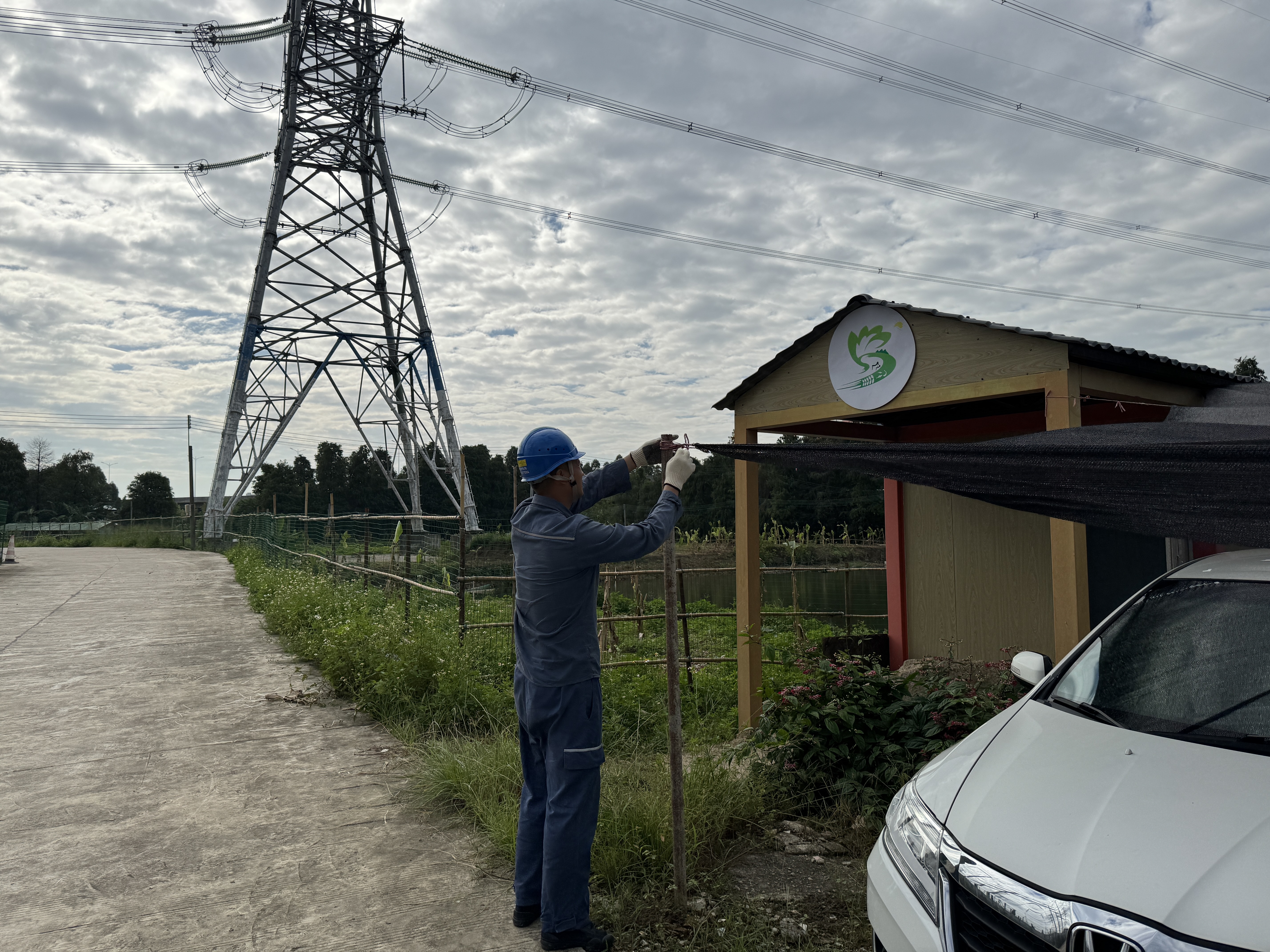 9月23日,南方电网广东佛山供电局输电管理所运维人员开展顺德片区线路隐患处理及特巡工作,协助沿线花圃农园业主清理隐患物并开展安全交底,抢在大风峰值前做好线路通道隐患处理工作。(何秋宏 摄)