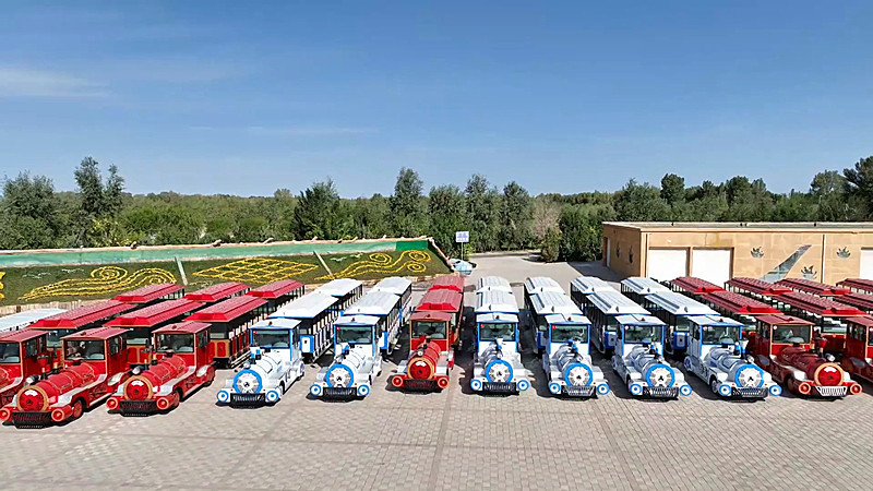 万亩胡杨换“金装”　来甘肃金塔遇见秋日专属浪漫