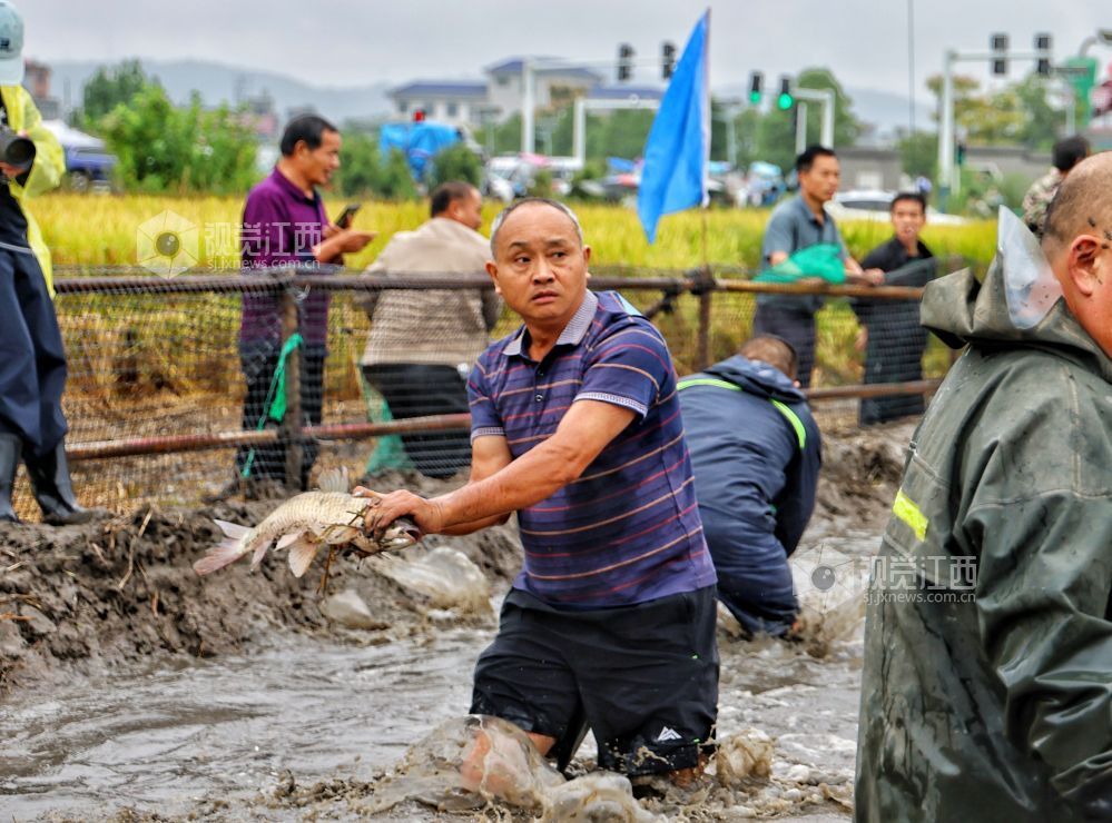 选手在农民趣味运动会项目“混水捉鱼”参赛中。