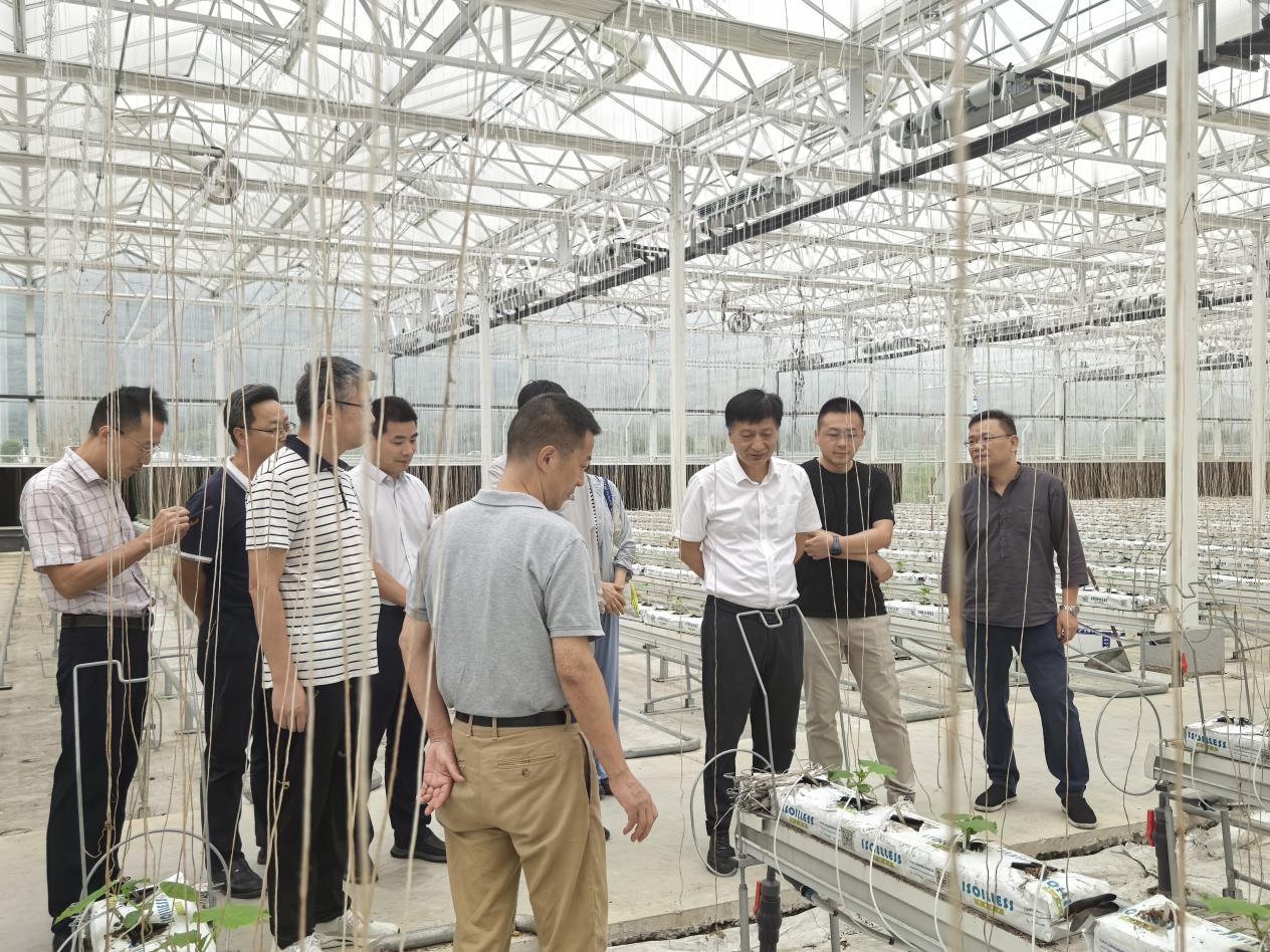 喻景权院士在奉化蔬菜保供基地开展一线指导(右三)