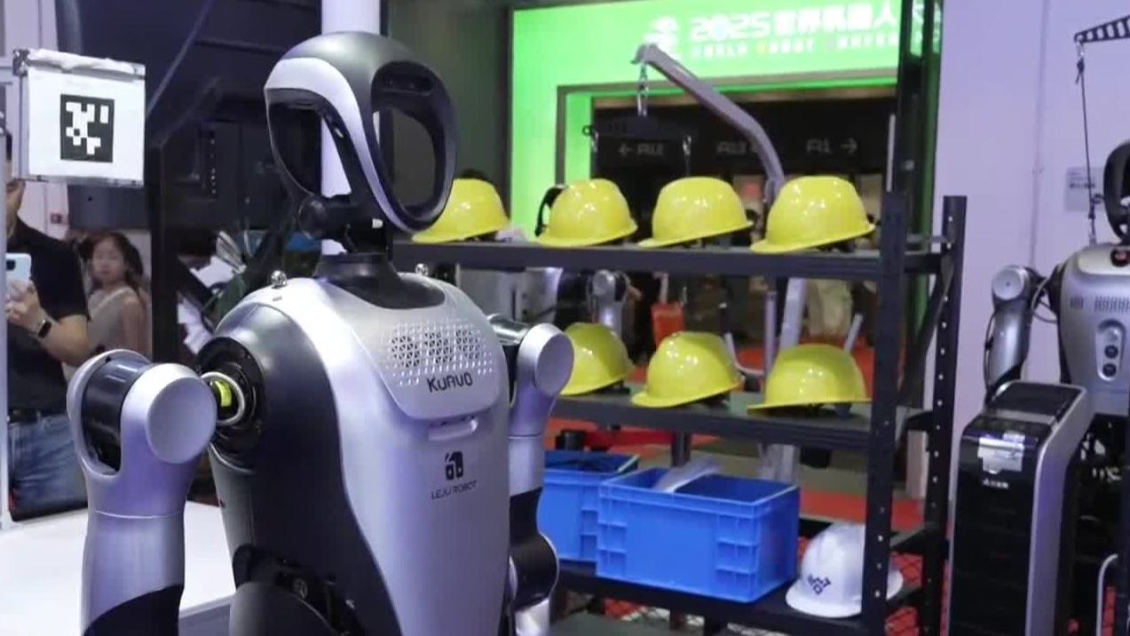 关于人形机器人，普通民众有何种期待？行业里对它的定义是什么？