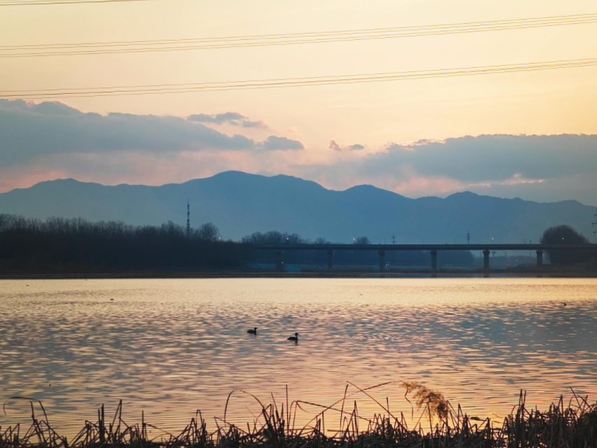 送餐时经过沙河水库,无暇停下来欣赏美景,只能匆匆拍张照片