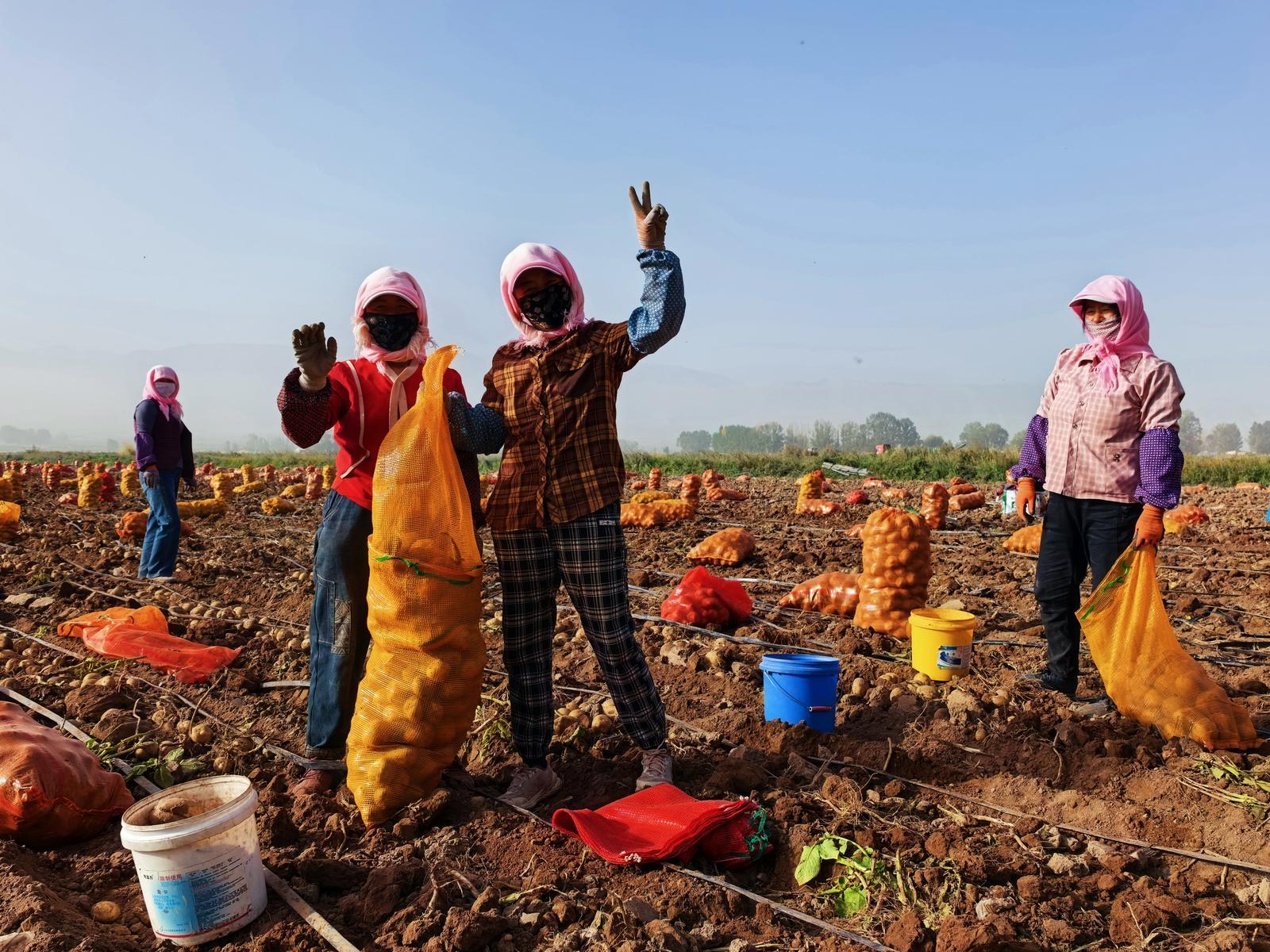 △网友　周宏军　摄
