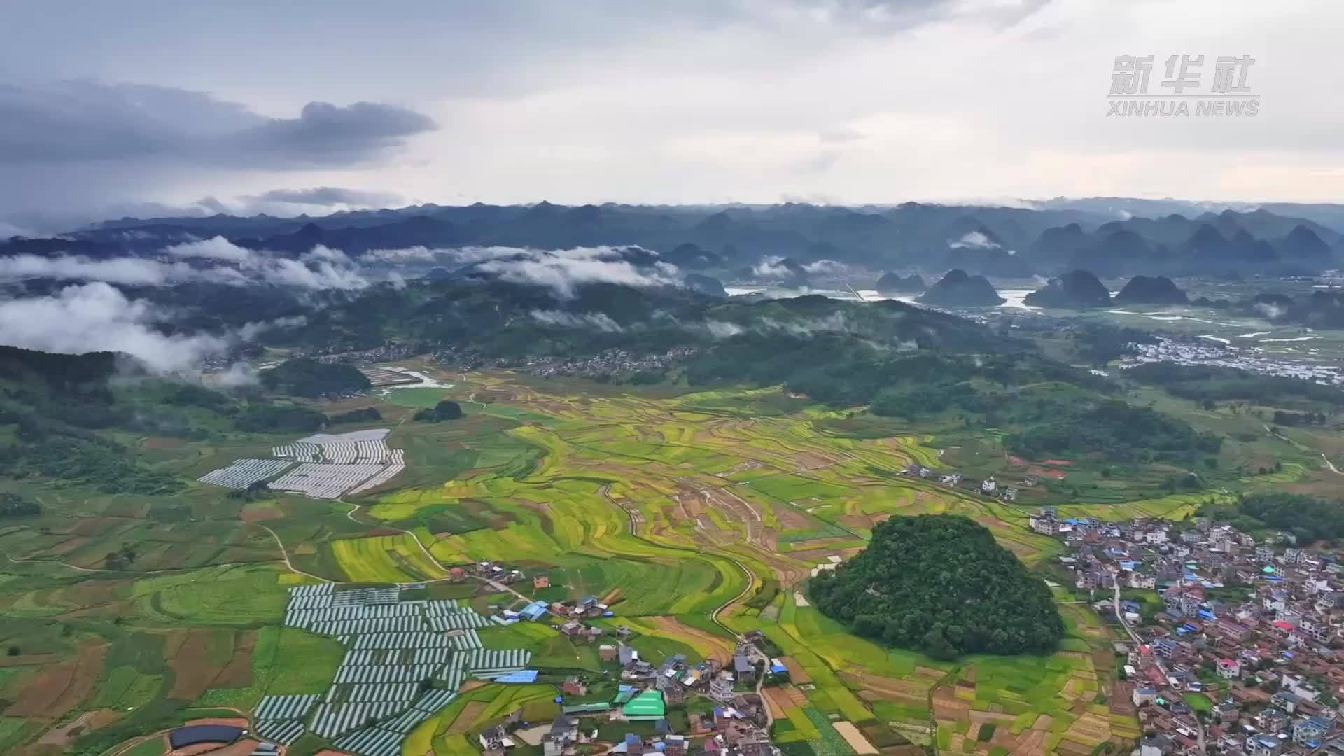 又是一年丰收时｜丰收时节享美景，农文商旅融合铺就乡村振兴画卷
