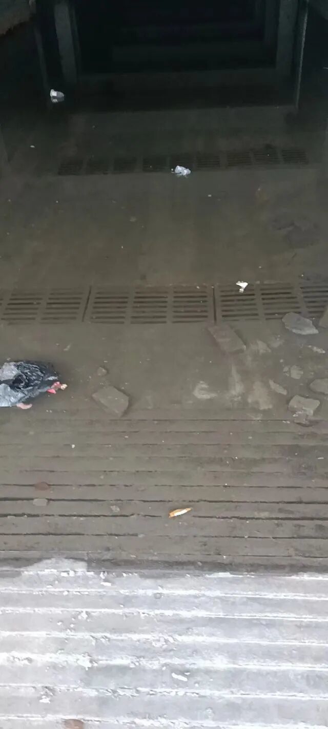 万载县康乐大道一地下室长期泡水 反映后多年没解决