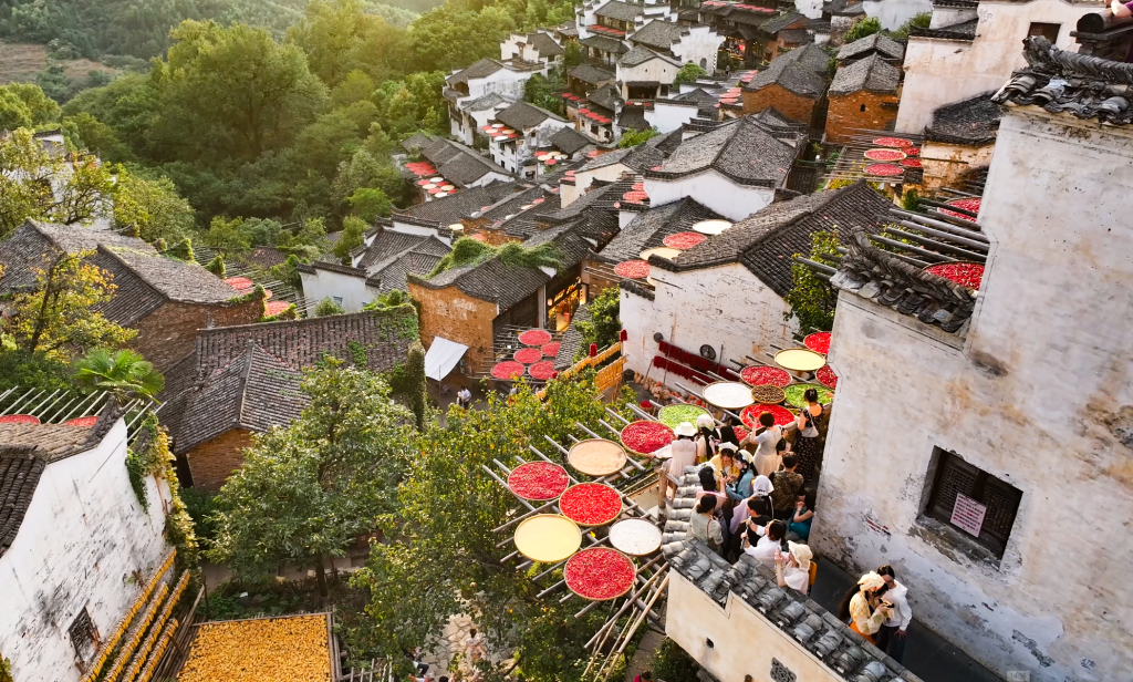 篁岭晒秋,晒出丰收喜悦。新华网发