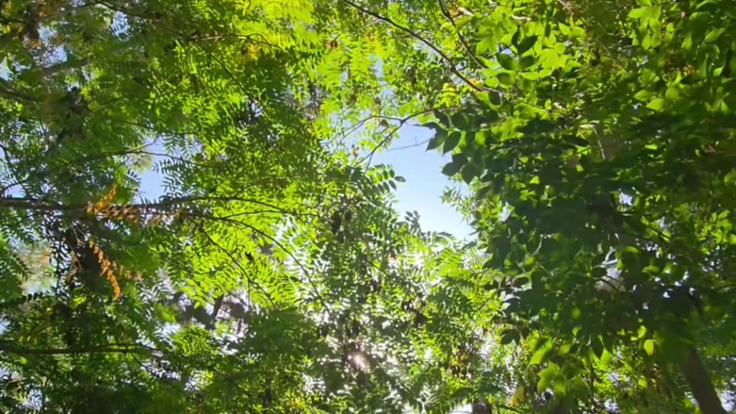 走进西汉酒泉胜迹　这抹秋色也太治愈了