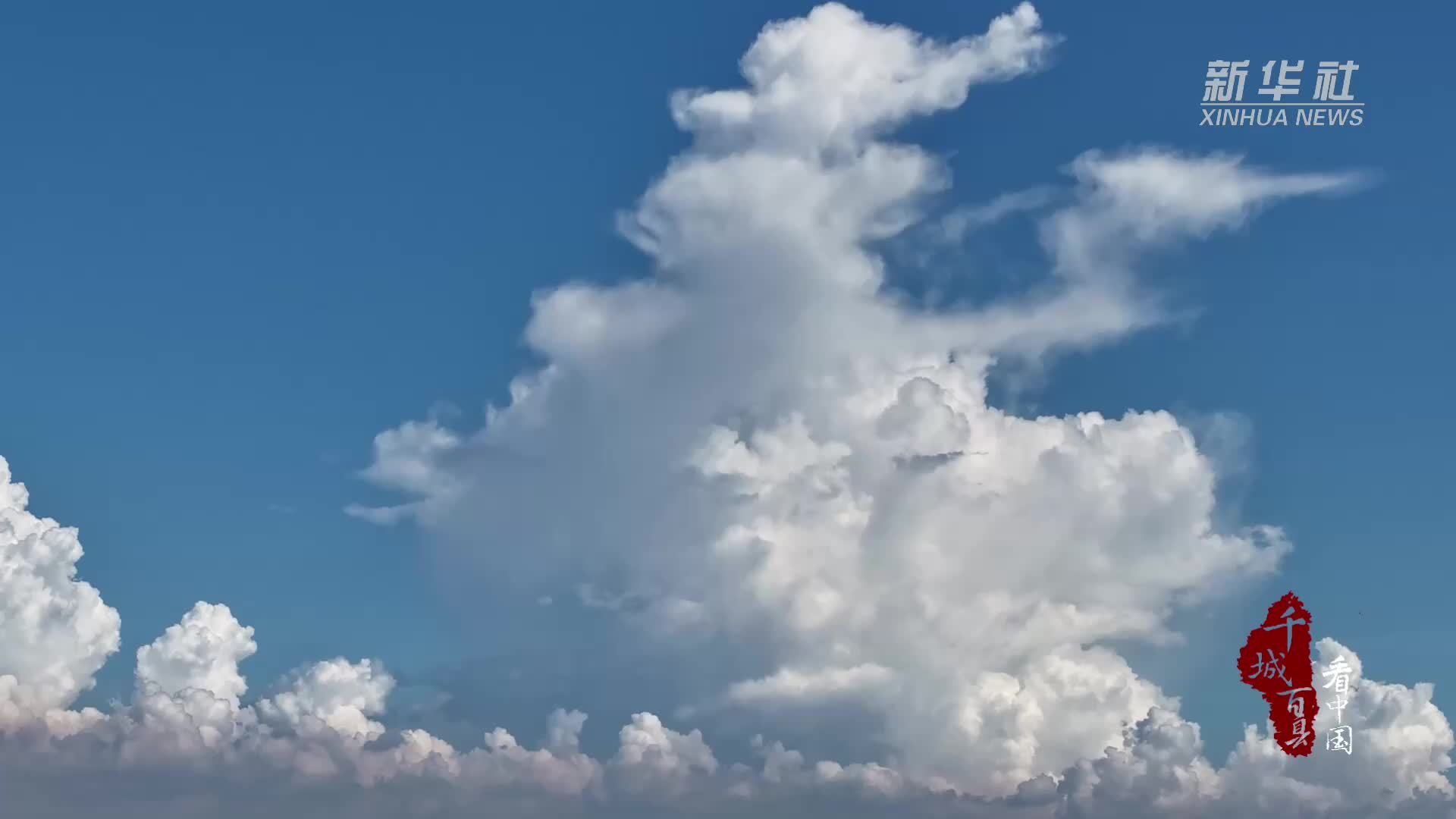 千城百县看中国｜广东东莞：秋向此时分 人间好“丰”景