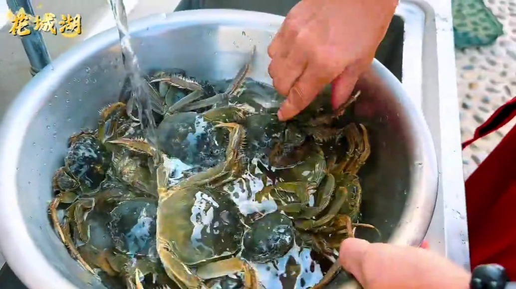 采沙枣吃大闸蟹　双节甘肃肃州花城湖喊你约“惠”