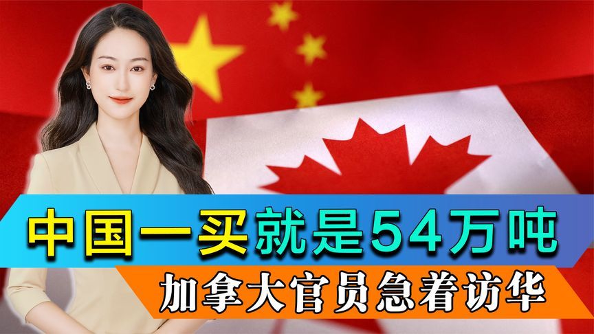 一买就是54万吨，中国订单转给澳大利亚，加拿大部长官员急着访华