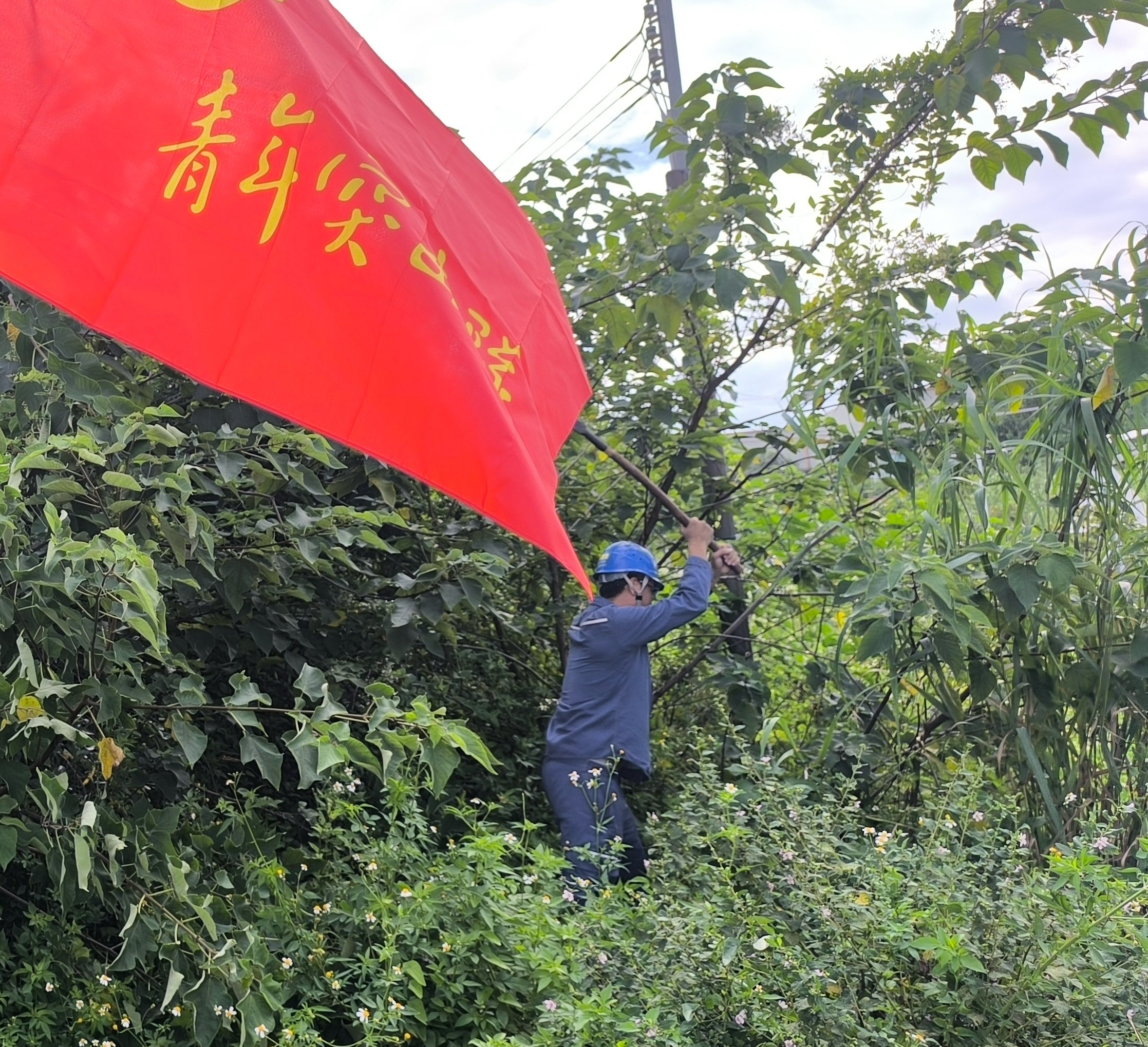 9月23日,南方电网广东佛山供电局输电管理所开展特巡清障工作(蓝天航 摄)