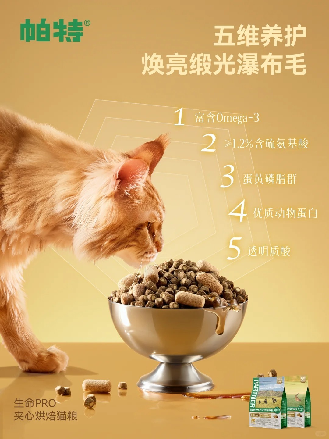 帕特新品以科学配方重塑宠物喂养本质：生命PRO定义功能粮新标准，无添加系列重塑天然营养本真凤凰网海南_凤凰网