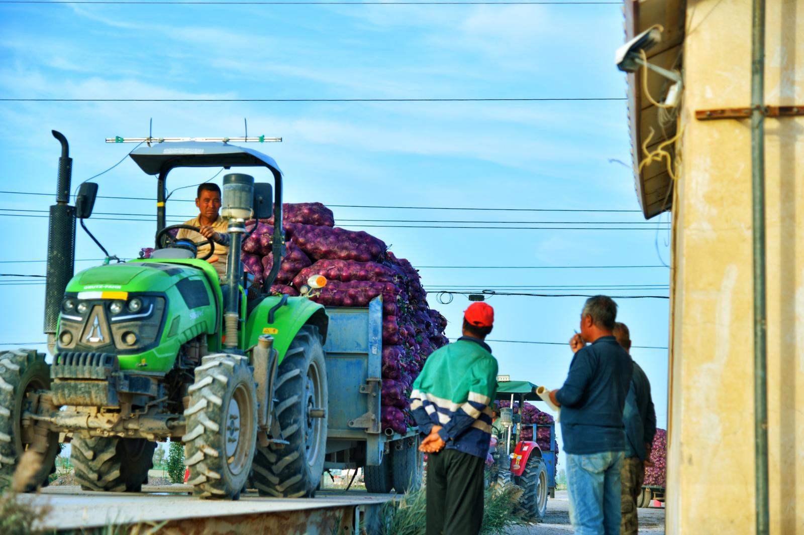 △网友　月亮之上　摄