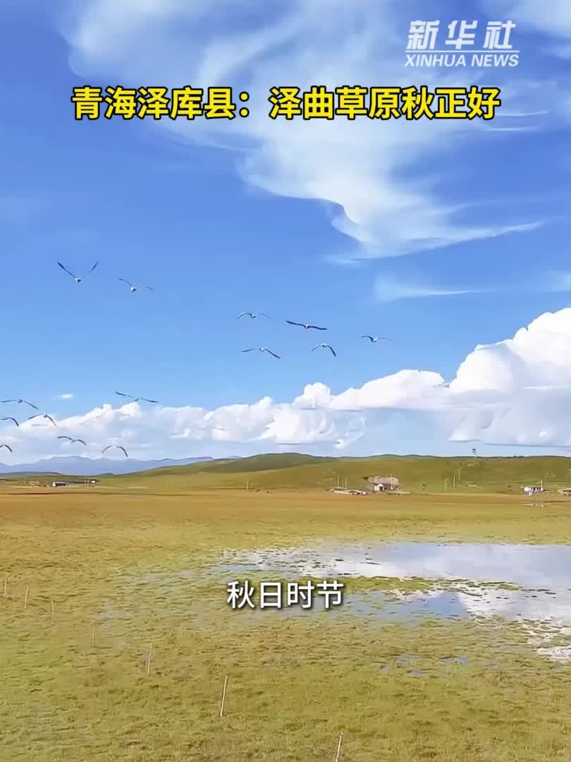 青海泽库县：泽曲草原秋正好
