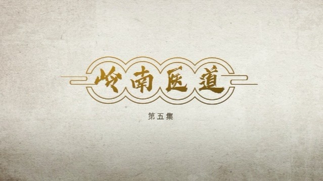 岭南医道：少年求索记