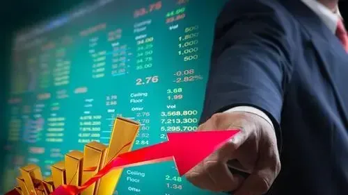 600735,将被“ST”,影响2.3万股东_凤凰网
