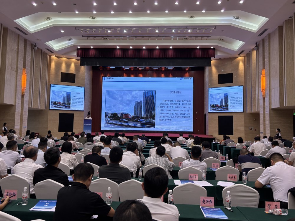 现场进行推介。记者 佘振芳 摄