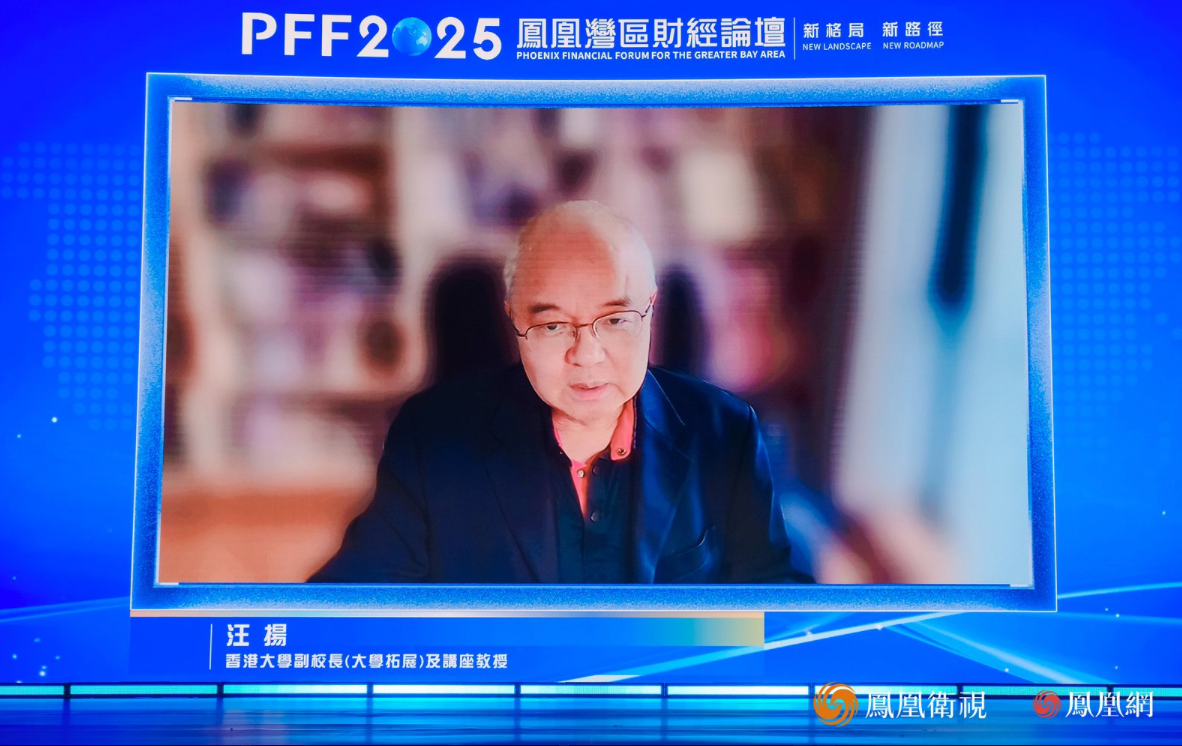 香港大学副校长(大学拓展)及讲座教授汪扬