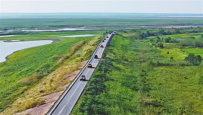 巡游车队行驶在鄱阳湖旅游公路上。