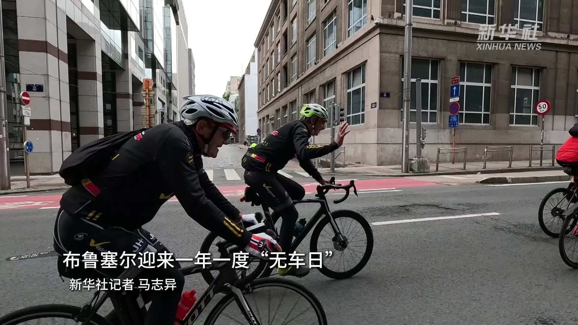 布鲁塞尔迎来一年一度“无车日”