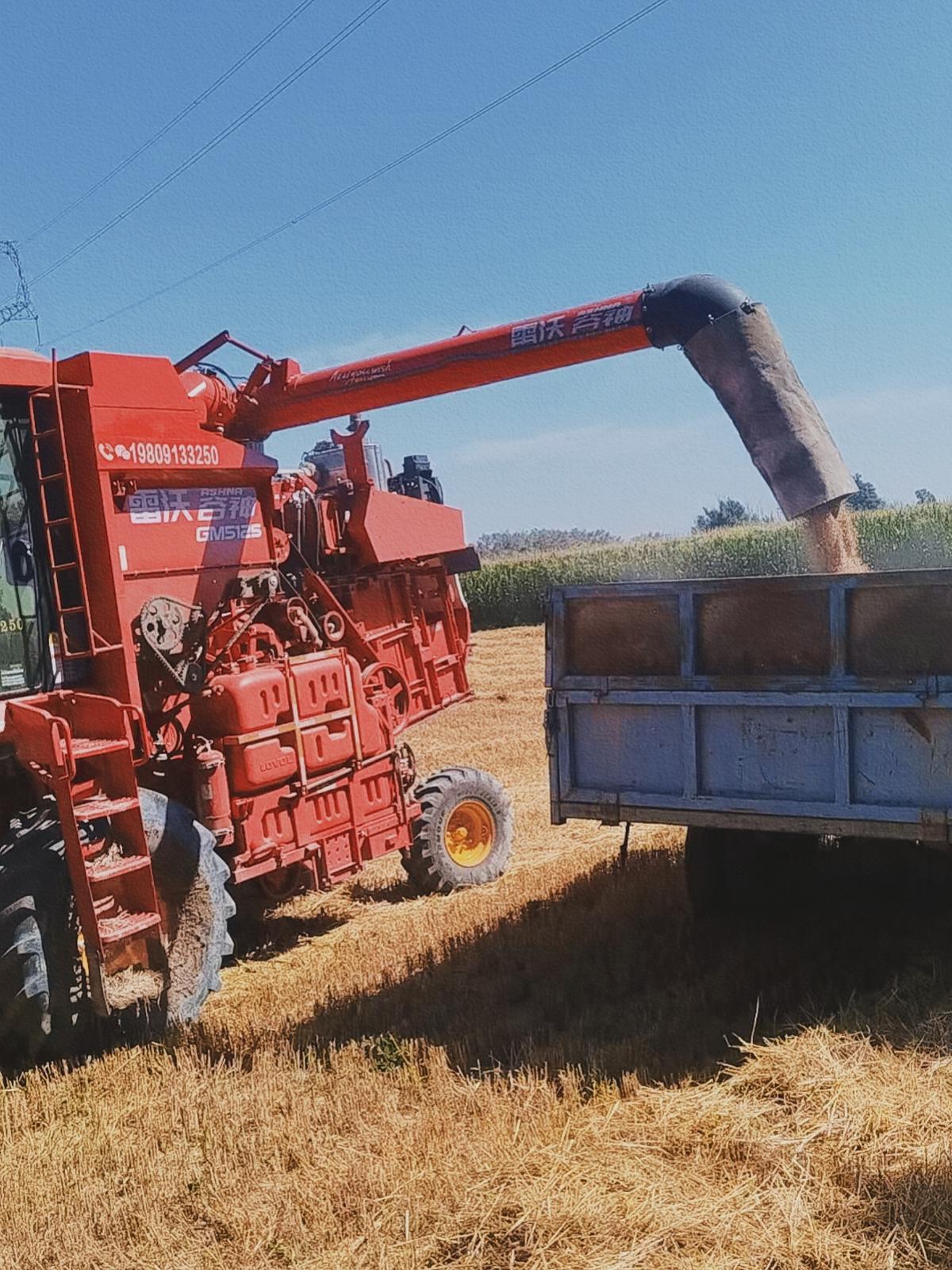 △网友　Dumas　摄