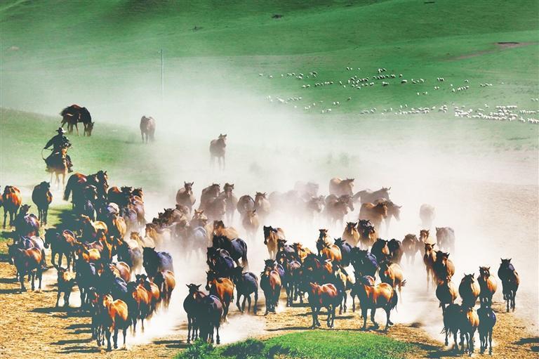 山丹马场骏马奔腾