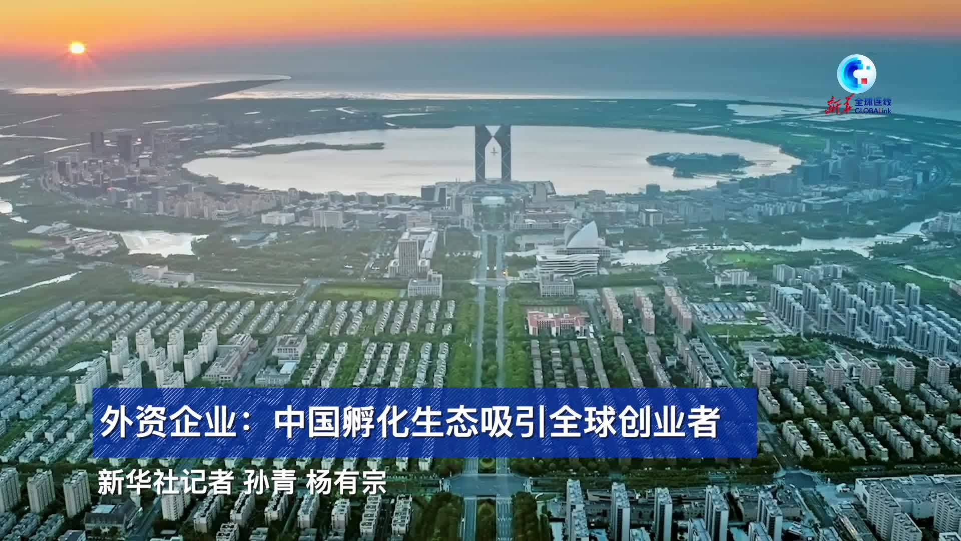 全球连线｜外资企业：中国孵化生态吸引全球创业者