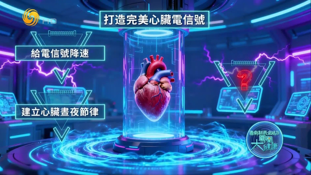 日常生活中，如何保护我们的心脏电信号，远离猝死风险？