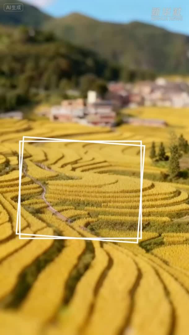 丰收中国丨AIGC视角看中国丰收图景