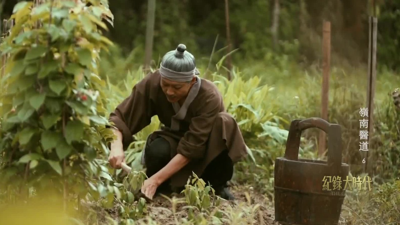 潘茂名开辟“荖园”，这片南方沃土滋养的药用本草植物被尊称为“南药”