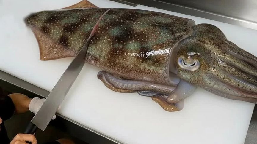 国外海鲜市场里，牛人宰杀活的乌贼墨鱼，这手法太少见了