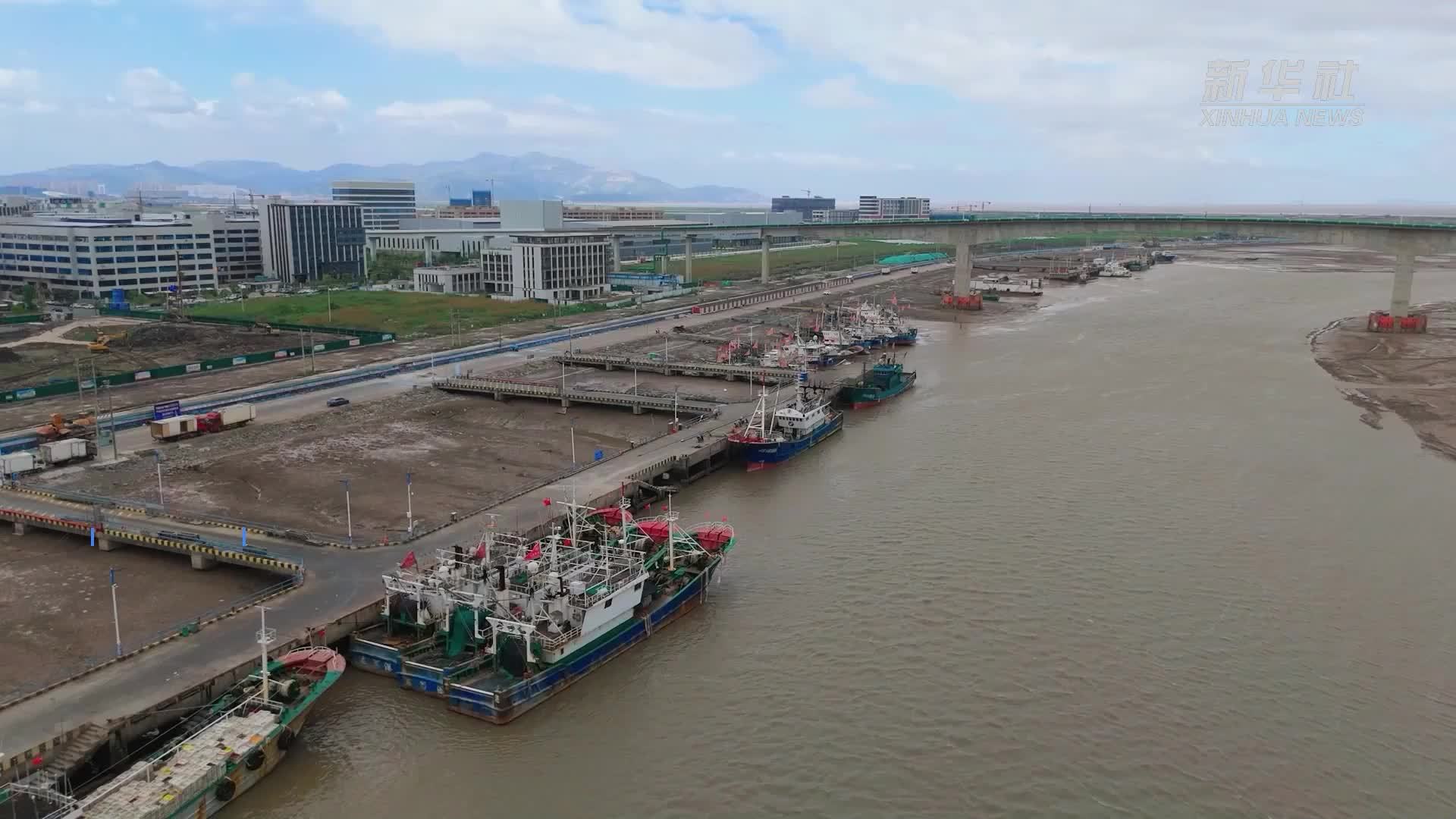 浙江龙港：百舸入海开渔忙