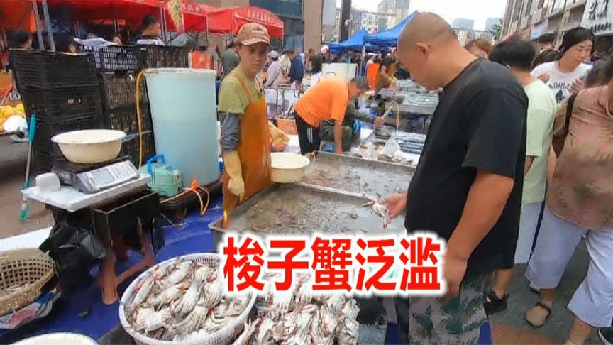 丹东早市梭子蟹风暴！中朝边境的螃蟹狂欢现场，螃蟹吃到爽！