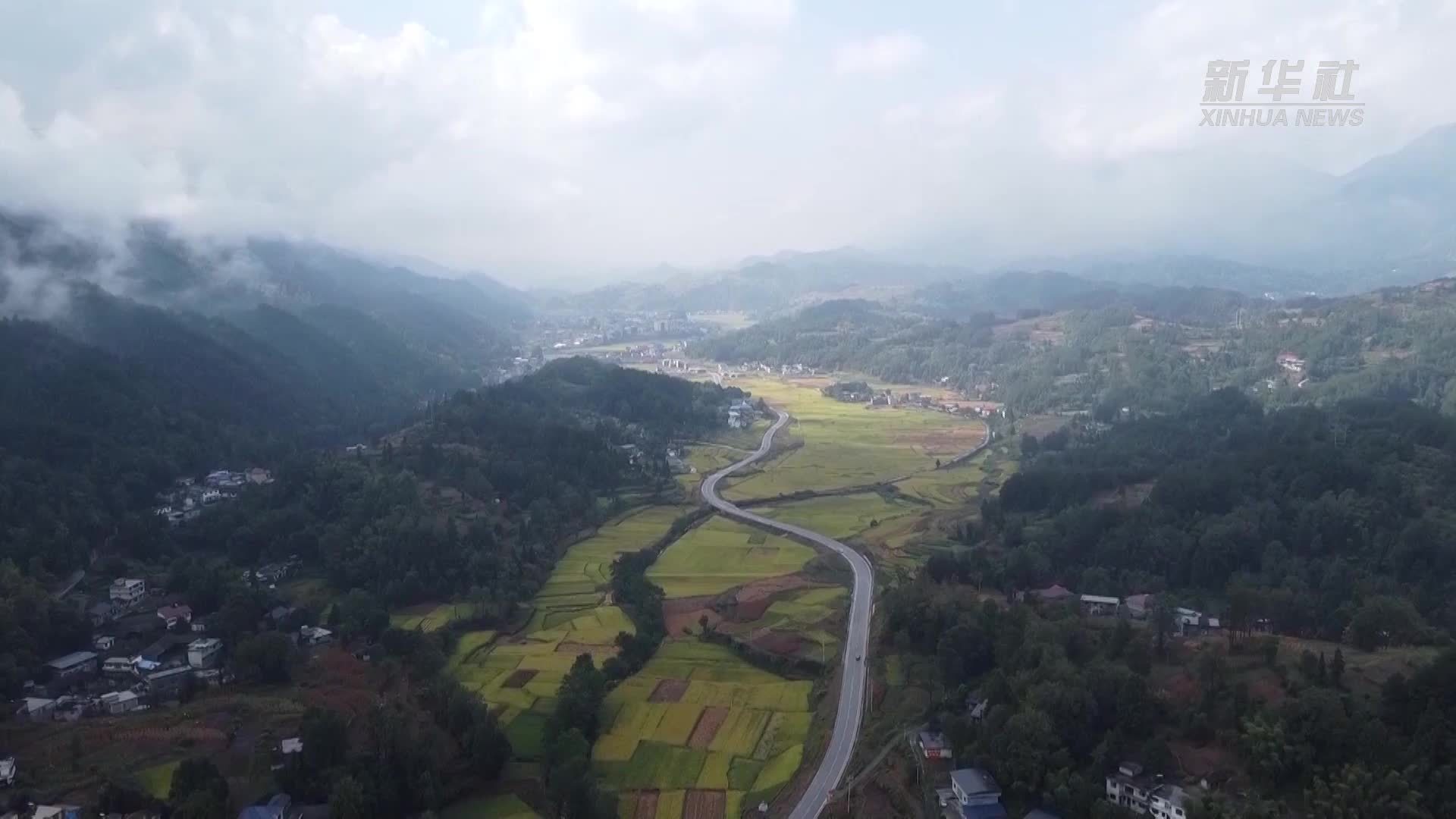 重庆：武陵山间秋收忙