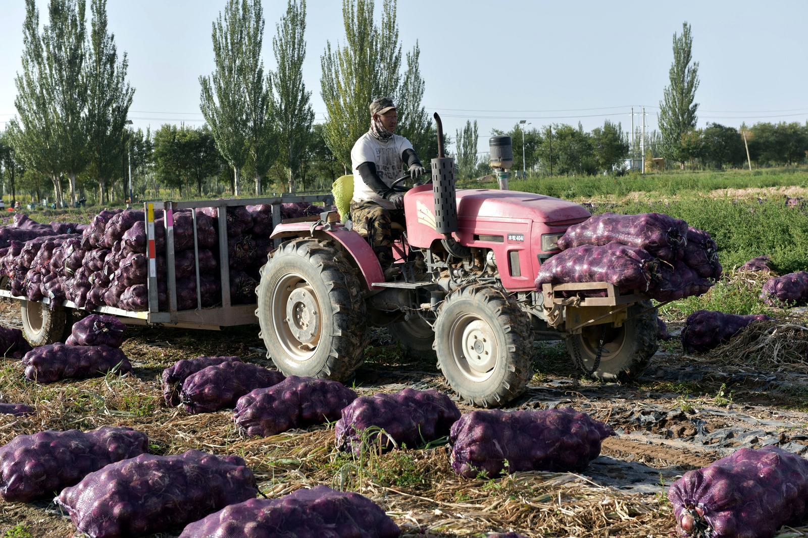 △网友　刘昌权　摄
