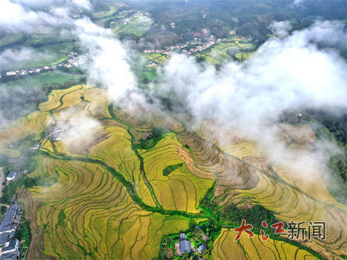 宜丰县潭山梯田。大江网视觉江西 王辉 摄