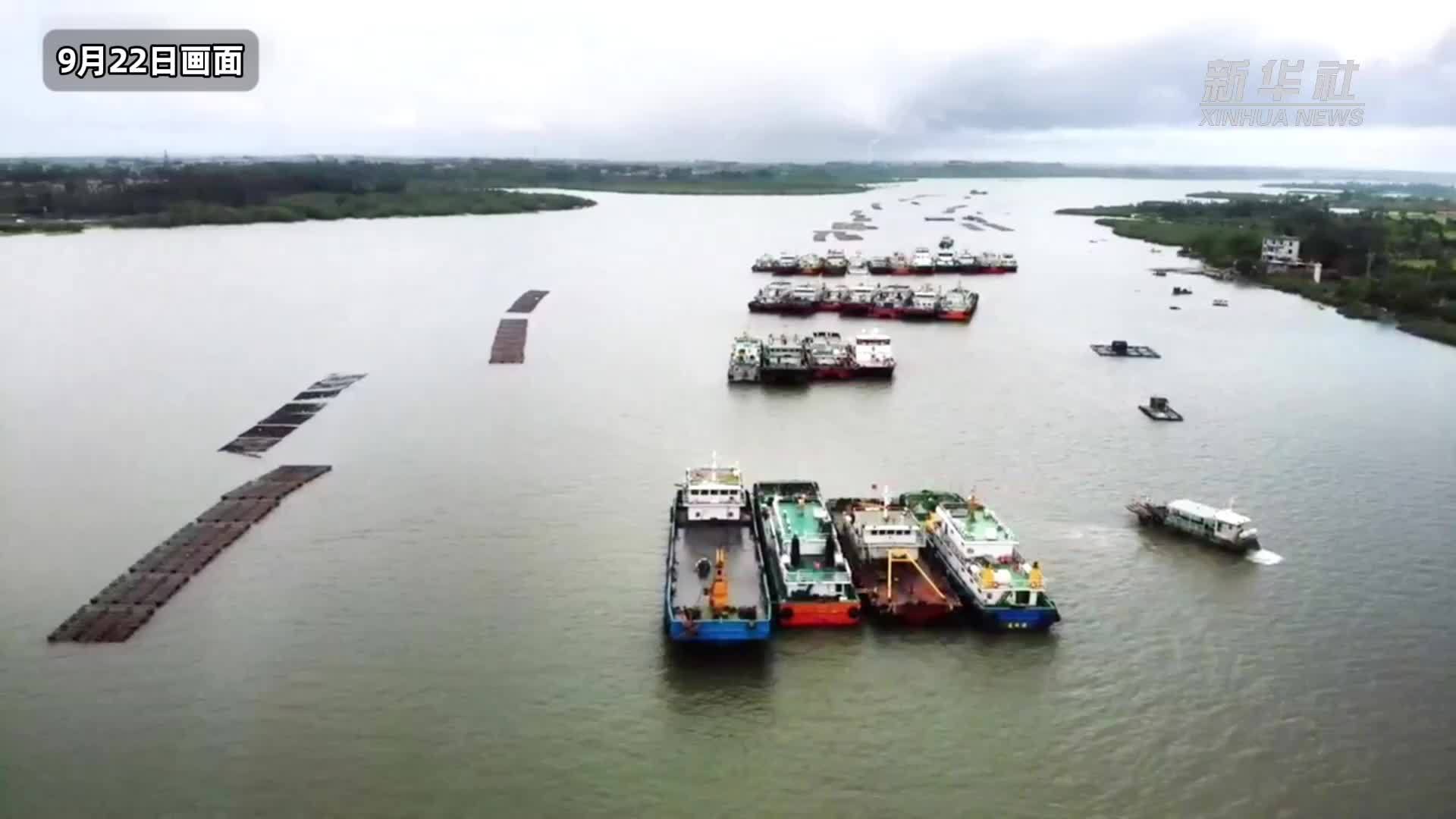 广东湛江：300余艘商船进入锚地防御台风