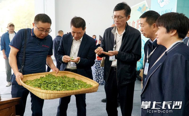 古丈毛尖飘香活动现场。