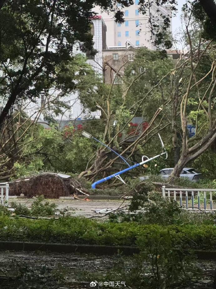 台风桦加沙对广东阳江造成严重影响：海水倒灌、树木折断