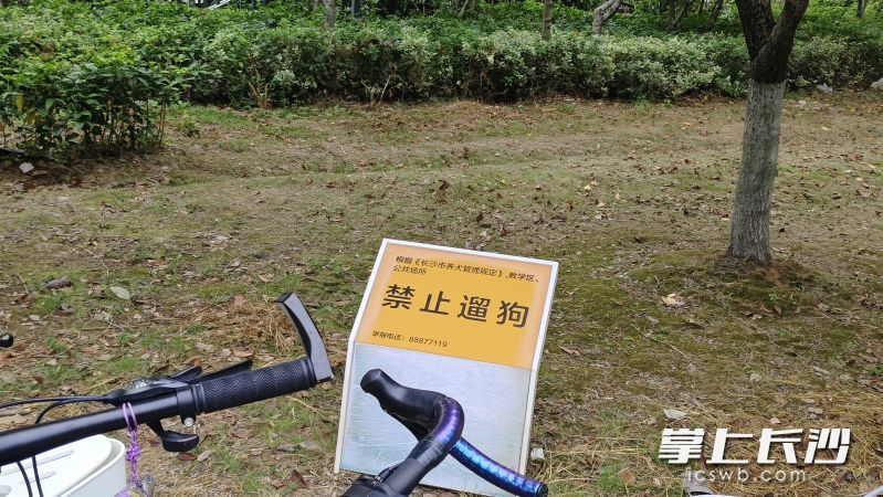 校内禁止遛狗标识。