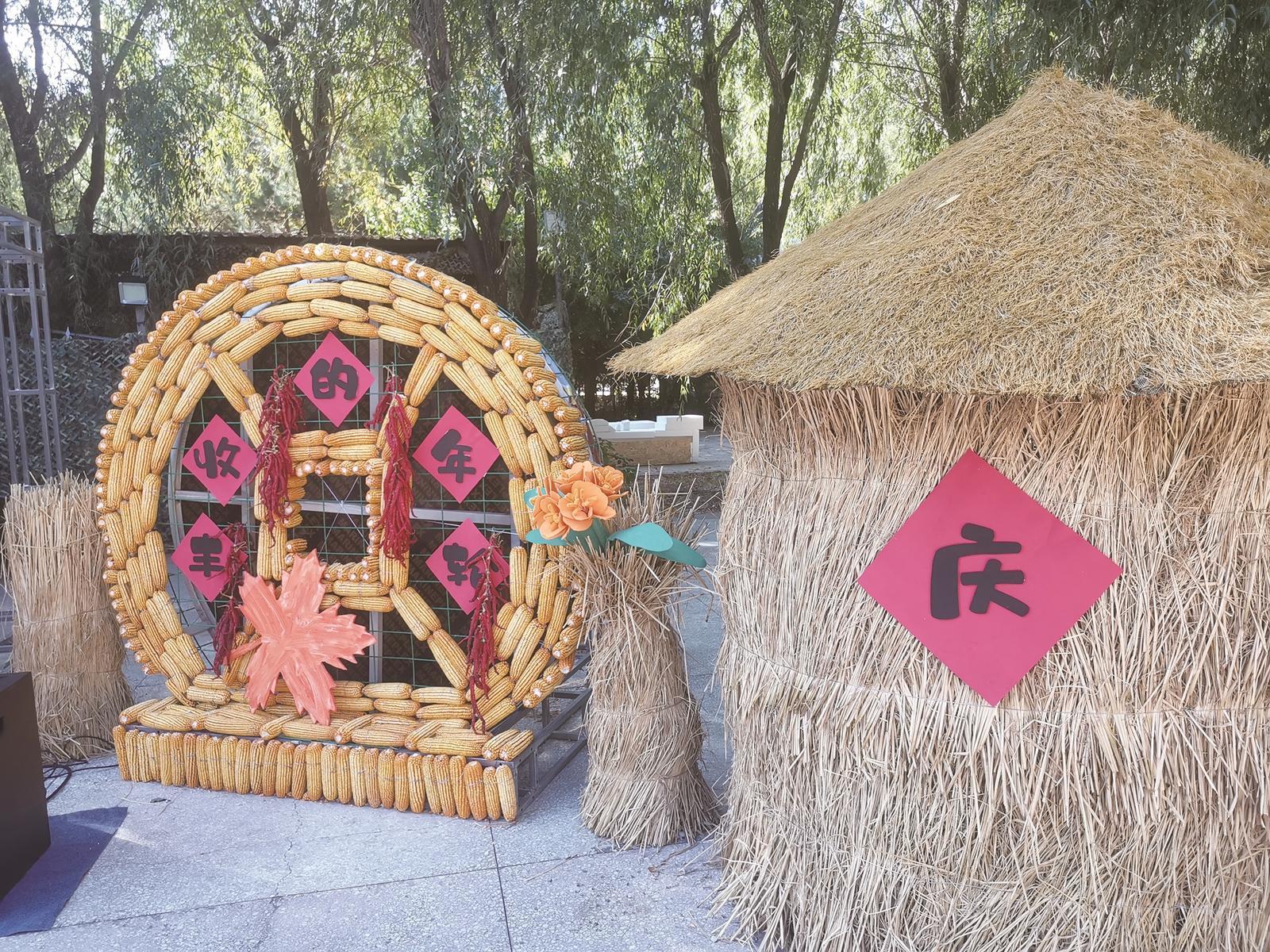 “五谷丰登”景象 本组图片 城市晚报全媒体记者 吕闯 摄
