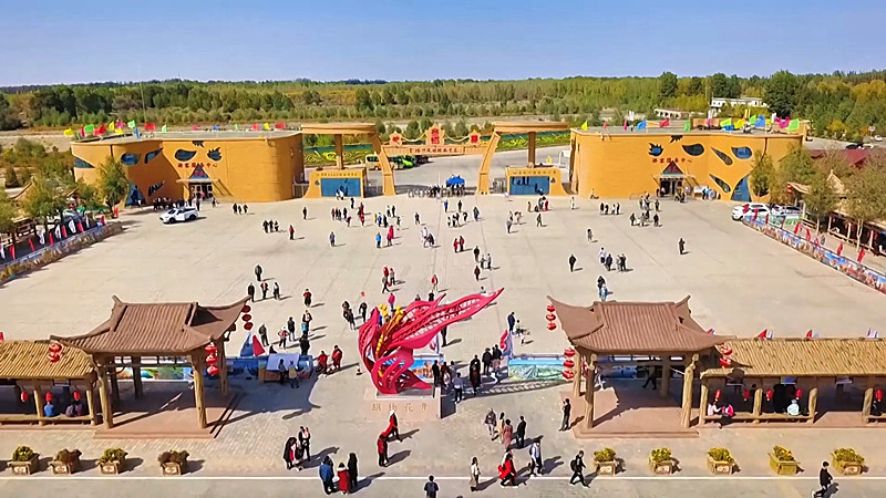 万亩胡杨换“金装”　来甘肃金塔遇见秋日专属浪漫