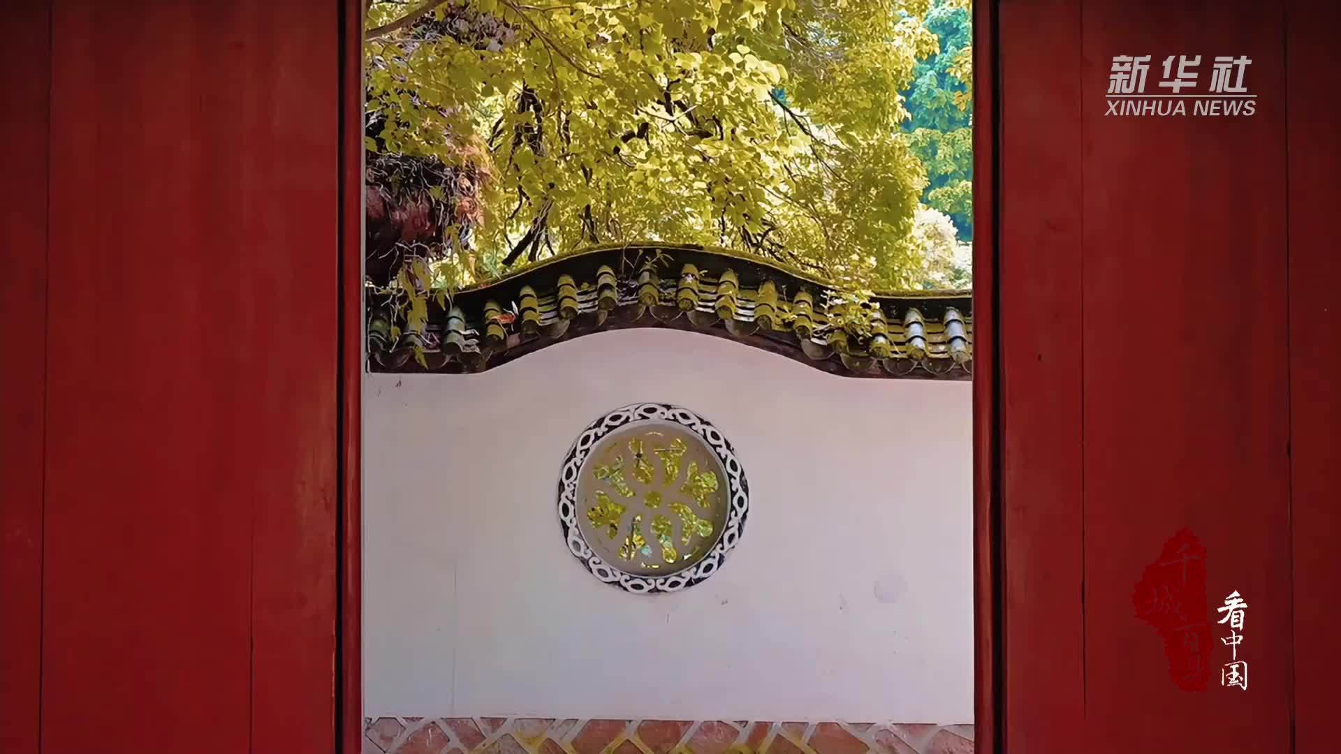 千城百县看中国｜福建福州：秋分至 染金妆